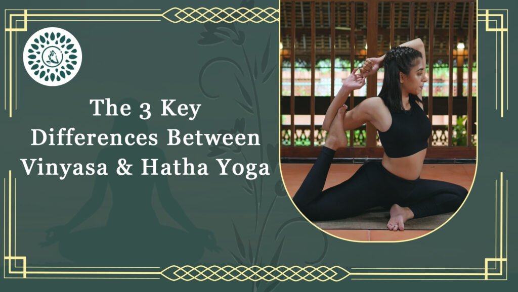 The 3 Key Differences Between Vinyasa & Hatha Yoga