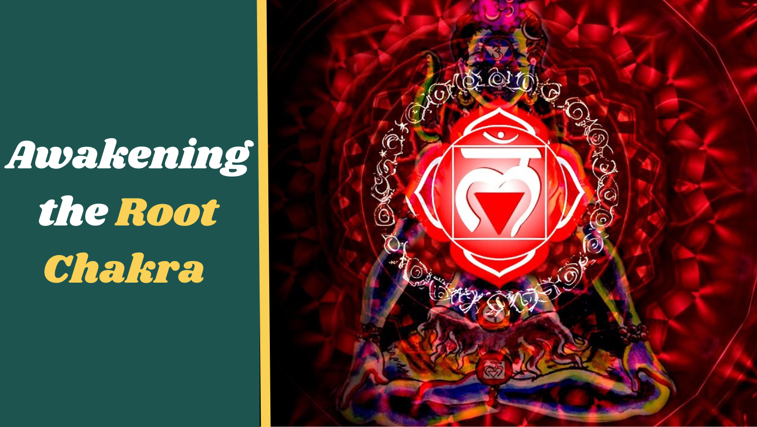 Awakening the Root Chakra 