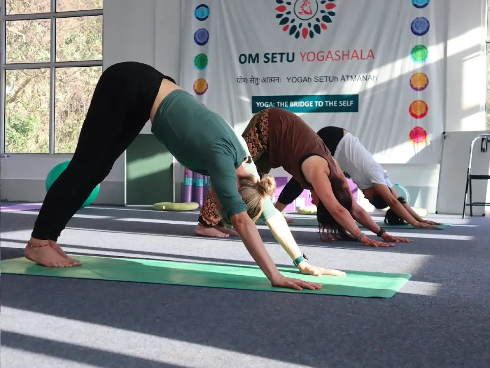 Yoga retreat in Rishikesh highlights - yoga practice session